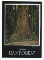 Australia, Tropical Rain Forest, Rainforest Giant, 1988. - Far North Queensland
