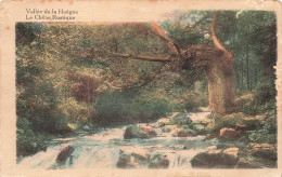 BELGIQUE - Vallée De La Hoëgne - Le Chêne Rustique - Colorisé - Carte Postale Ancienne - Other & Unclassified