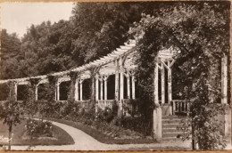 Vittel, La Pergola, Parc Et Fleur - Vittel