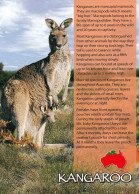 1 AK Australien / Australia * Story Card Kangaroo - Känguru Mit Jungtier * - Autres & Non Classés