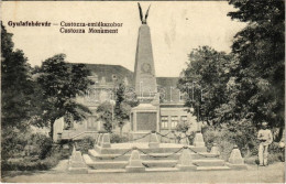 * T2/T3 Gyulafehérvár, Karlsburg, Alba Iulia; Custozza Emlékmű. Petri F. W. Kiadása / Monument (EK) - Non Classificati