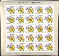 Southeast Arabia Fujeira - Fujeira