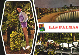 SPAIN, CANARY ISLANDS, LA PALMA, BANANA, GIRL, CARRIAGE, BEACH, SEA - La Palma