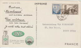 Andorre 1950 Carte Ionyl Biomarine Maison Des Vallées - Lettres & Documents