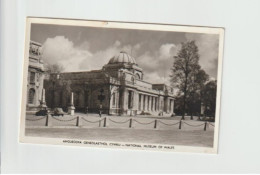National Museum Of Wales, Cardiff -   Unused Postcard   - UK24 - Gwynedd