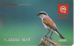 TARJETA DE ESLOVENIA DE UN PAJARO (BIRD-PAJARO) - Autres & Non Classés