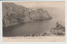 PLOGOFF - FINISTERE - POINTE DU RAZ - LA BAIE DES TREPASSES - LE ROC'HIER - Plogoff