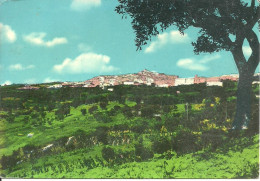 Grassano (Matera) Panorama, Panoramic View, Vue Panoramique, Ansicht - Matera