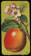Côte D'Or - Botanica - 1954 - 123 - Pirus Malus, Pommier, Appelboom - Côte D'Or