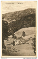 Steinwanaklamm - Kohlwirt Postcard Without Stamp Travelled 192? Bb151012 - Berndorf
