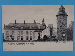 Bomerée (Montigny-le-Tilleul)  Le Vieux Château - Montigny-le-Tilleul