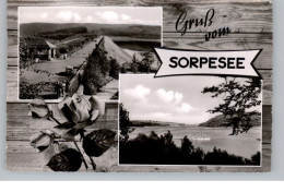 5768 SUNDERN - LANGSCHEID, Gruss Vom Sorpesee, 1957 - Sundern