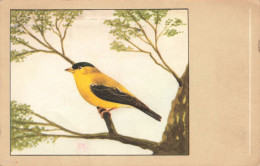 ANIMAUX & FAUNE - Oiseaux - Tarin D'Amérique - Colorisé - Carte Postale Ancienne - Oiseaux
