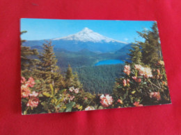 BELLE CARTE "MT. HOOD AND LOST LAKE..MOUNTAIN RHODODENDRONS " ... - Andere & Zonder Classificatie