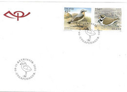 Island Iceland  2001 Northern Wheatear And  Common Ringed Plover  Mi  996-997 FDC - Storia Postale
