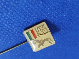 Damaged Pin Badge Hungary Wrestling Association Federation - Lutte