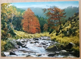 CARTOLINA AUSTRIA WALDBACH DER SCHONE HARZ1973 Österreich Ansichtskarten Postcard - Hartberg