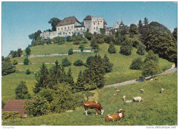 Lenzburg Castle Old Postcard Written On The Back Not Travelled 1968 Bb151030 - Lenzburg