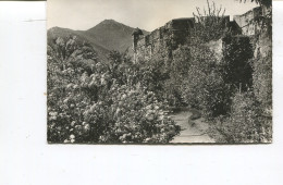 CPSM PF - AMELIE LES BAINS LE FORT - Propriété Et Colonie De Vacances Des Blessés Du Poumon - Entrée Des Jardins - Amélie-les-Bains-Palalda