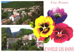 FRANCE, PYRENEES ORIENTALES, AMELIE LES BAINS PALALDA, FLOWERS, PANORAMA - Amélie-les-Bains-Palalda