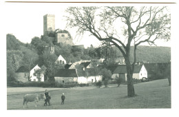 HILLESHEIM Eifel Bei Gerolstein ~1938 Private Ansichtskarte "Bauern Mit Kuh Vor Burg" - Gerolstein