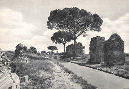 ITALIE - Roma - Via Appia Antica - Carte Postale Ancienne - Parchi & Giardini