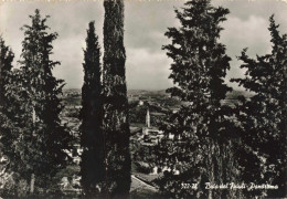 ITALIE -  Buia Del Friuli - Panorama - Carte Postale Ancienne - Udine