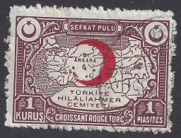 TURCHIA 1928 - Yvert B24° - Beneficenza | - Timbres De Bienfaisance