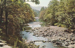 AK 168905 ENGLAND - Borrowdale - River Derwent - Borrowdale