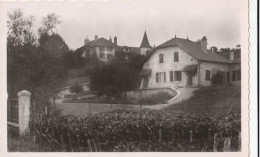 55 - VIGNEULLES LES HATTONCHATEL - Château Des Quatre-Vents (CPSM 9X14) - Vigneulles Les Hattonchatel