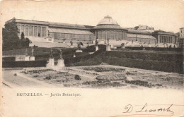 BELGIQUE - Bruxelles - Jardin Botanique - Carte Postale Ancienne - Bossen, Parken, Tuinen