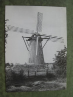 WESTMALLE - SCHERPENBERGMOLEN - Malle