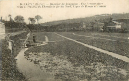 DARNÈTAL  Quartier De Longpaon, Une Cressonnière - Darnétal