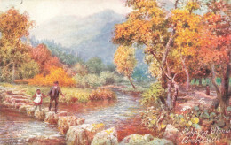 ILLUSTRATEUR SIGNE - HB Wimbush - Stepping Stones Ambleside  - Carte Postale Ancienne - Wimbush