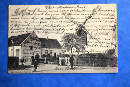 Willebroeck 1905: Le Moulin à Vent. Animée - Willebroek