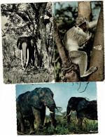 Lot 3 Cpsm " Faune Africaine" éléphants, Singe - Circulés Avec Timbre Du Cameroun Et Pas Circulé (manque Coin Inf Droit) - Sammlungen & Sammellose