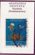 AFRIQUE DU SUD - Arbre, Baobab - Y&T N° 254 - 1961 - Oblitéré - Usati