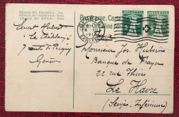 Suisse, Entier-Carte Cachet Genève 6.7.1917 - (C108) - Entiers Postaux