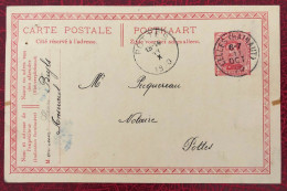 Belgique, Entier-Carte, Cachet Celles 11.10.1920 - (C267) - Andere & Zonder Classificatie