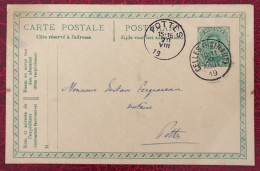 Belgique, Entier-Carte, Cachet Celles 20.8.1919 - (C271) - Andere & Zonder Classificatie