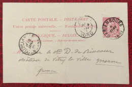 Belgique, Entier-Carte (pli), Cachet Mariembourg 8.1.1891 - (C291) - Other & Unclassified