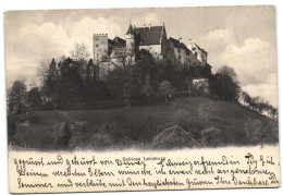 Schloss Lenzburg - Lenzburg