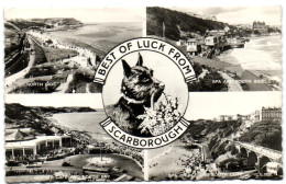 Best Of Luck From Scarborough - Scarborough