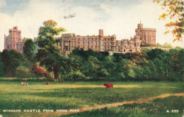 ROYAUME UNI - Angleterre - Windsor Castle From Home Park - Colorisé - Carte Postale Ancienne - Windsor Castle