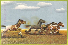 Af1163 - ARGENTINA - Vintage Postcard - Ethnic - America