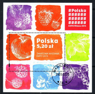 POLAND 2015 Michel No Bl 238 Used - Gebruikt