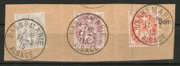 !!! TYPES BLANC SUR FRAGMENT CACHETS DANNEMARIE - ALSACE 11/2/1915 (VILLE RECONQUISE) - Used Stamps