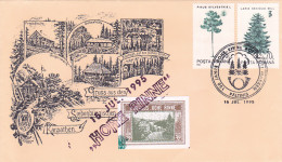 PALTINIS- HOHE RINNE MOUNTAIN RESORT STAMPS ANNIVERSARY, SPECIAL COVER, 1995, ROMANIA - Cartas & Documentos