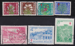 Belgie  .   OBP    .    834/840    .    O       .   Gestempeld     .   /   .    Oblitéré - Used Stamps