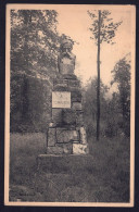 +++ CPA - CAILLOU QUI BIQUE - ROISIN - Monument Verhaeren // - Honnelles